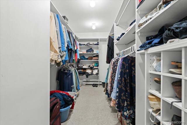 1540 Milford Hills Dr, Milford, MI 48381 - view of spacious closet