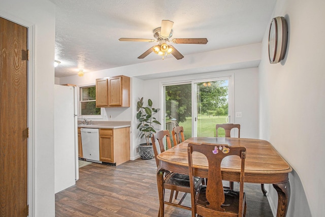 3128 Maurer Rd, Charlotte, MI 48813 - dining area with dark wood finished floors, plenty of natural light, ceiling fan, and a textured ceiling
