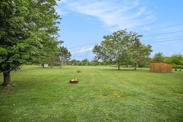 3128 Maurer Rd, Charlotte, MI 48813 - view of grassy yard with a storage unit