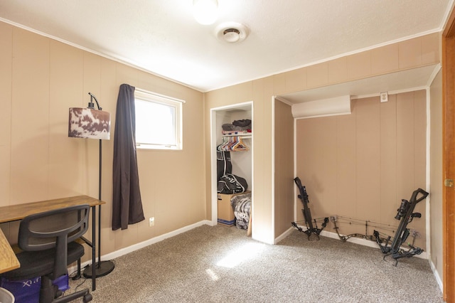 1620 Ontario Rd, Niles, MI 49120 - carpeted office featuring crown molding and baseboards