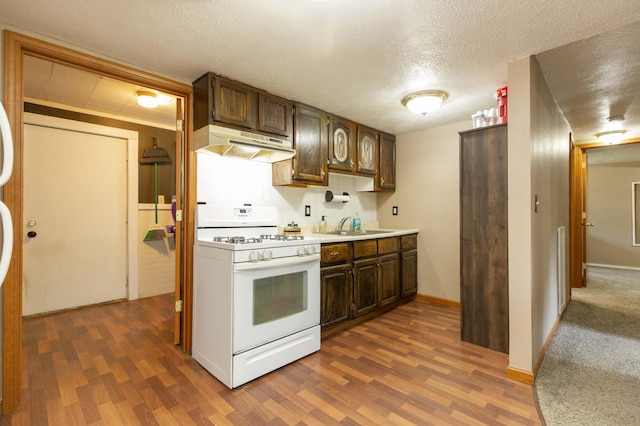 1620 Ontario Rd, Niles, MI 49120 - kitchen with white gas stove, under cabinet range hood, dark brown cabinets, dark wood finished floors, and a textured ceiling