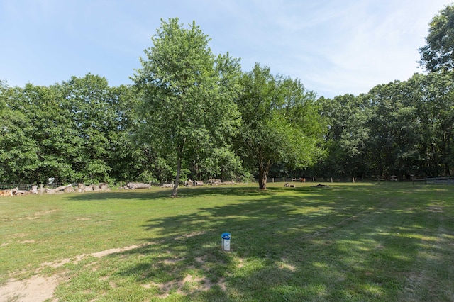 1620 Ontario Rd, Niles, MI 49120 - view of green lawn