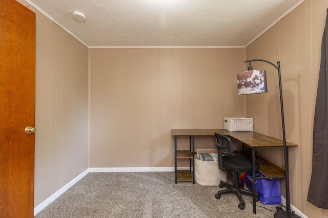 1620 Ontario Rd, Niles, MI 49120 - home office featuring crown molding, carpet floors, and a textured ceiling