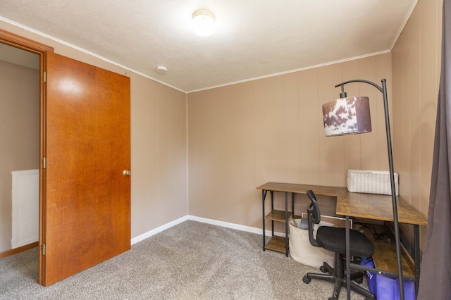 1620 Ontario Rd, Niles, MI 49120 - office space with carpet floors and ornamental molding