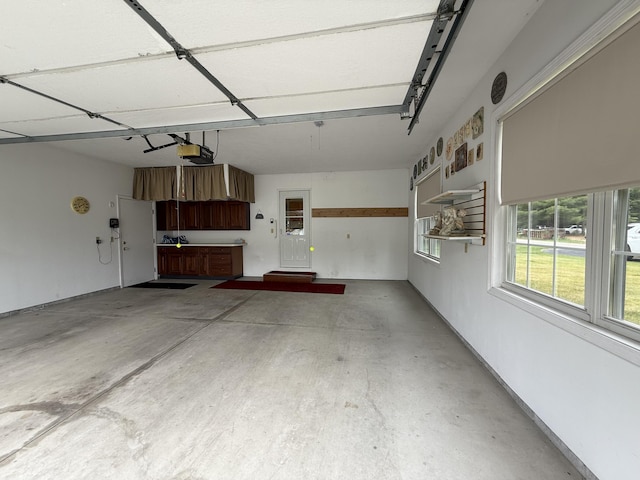 7826 Sunset Shores Dr Unit 43, Canadian Lakes, MI 49346 - garage featuring a garage door opener