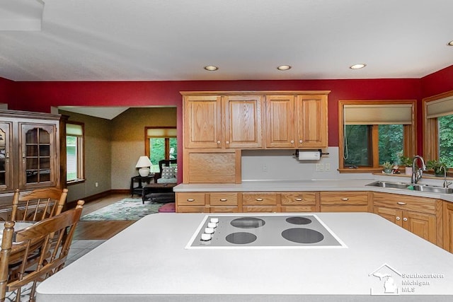 5237 Emerson Dr, Ottawa Lake, MI 49267 - kitchen with white electric stovetop, light countertops, recessed lighting, and wood finished floors