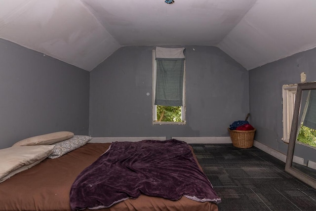 1228 Wells Pl, Kalamazoo, MI 49001 - bedroom with lofted ceiling and carpet floors