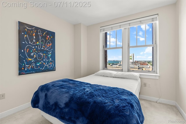 525 W Lafayette Blvd Unit 11B, Detroit, MI 48226 - photo 29