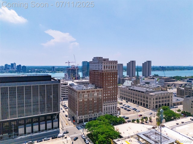 525 W Lafayette Blvd Unit 11B, Detroit, MI 48226 - photo 46