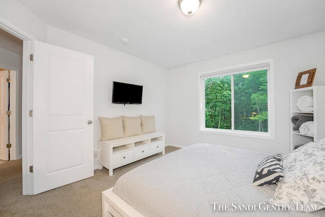 568 N River Hills Dr, Newaygo, MI 49337 - view of carpeted bedroom