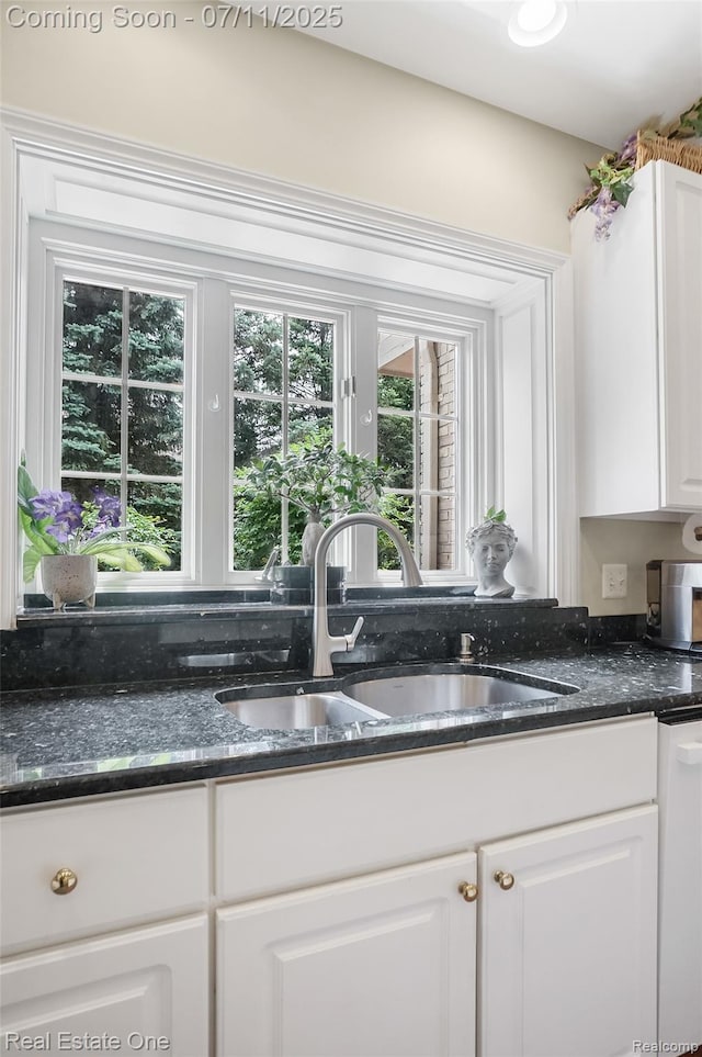 3565 Heron Ridge Dr, Rochester Hills, MI 48309 - kitchen with white cabinetry, dishwasher, and dark stone countertops