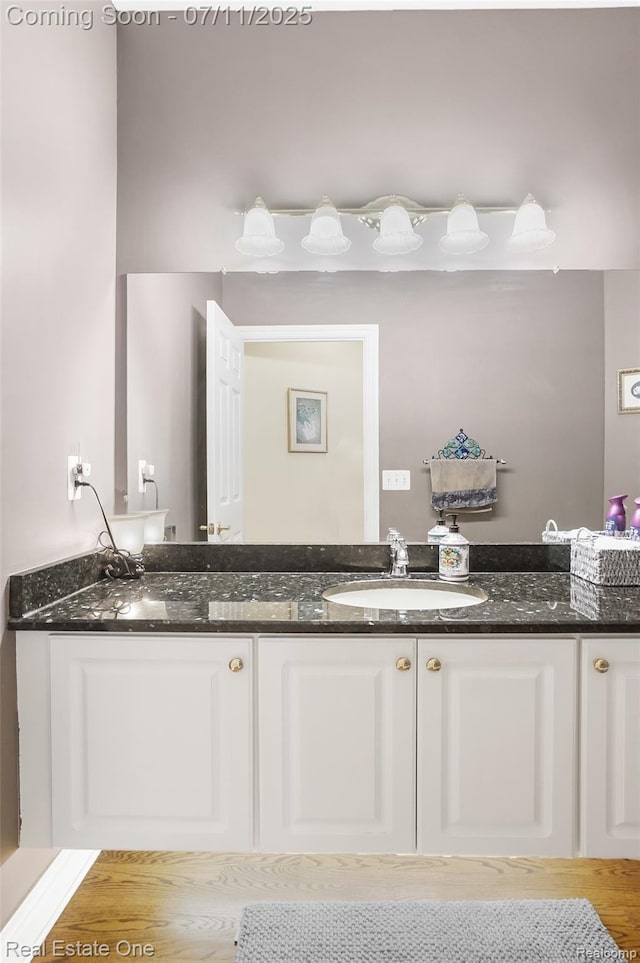 3565 Heron Ridge Dr, Rochester Hills, MI 48309 - bathroom featuring vanity