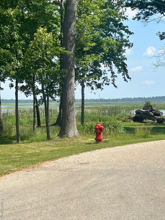 1023 Lakewood Dr, East Tawas, MI 48730 - view of road featuring a water view and a rural view