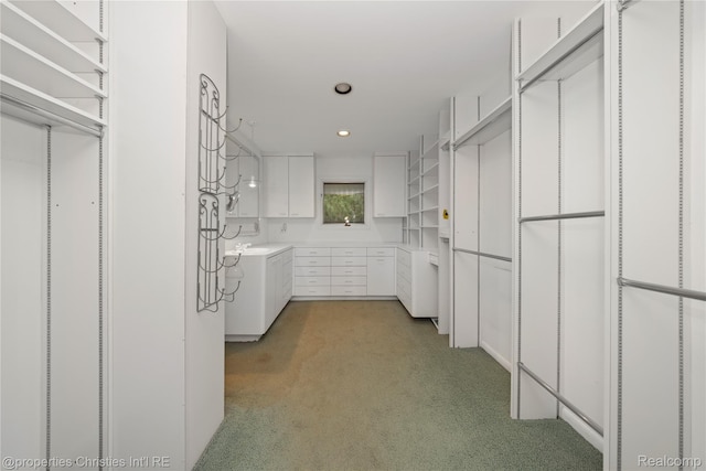 4724 Tara Ct, West Bloomfield, MI 48323 - spacious closet featuring light carpet and a sink