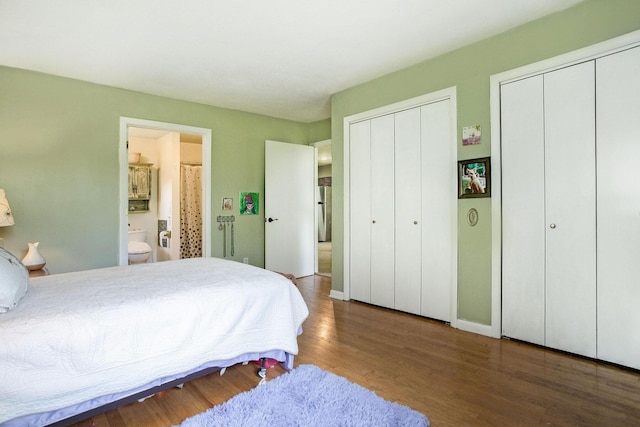 12972 S M 43 Hwy, Delton, MI 49046 - bedroom featuring two closets, wood finished floors, and ensuite bath