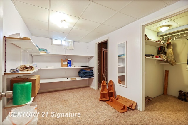 11315 Grand Oaks Dr, Clio, MI 48420 - view of storage room