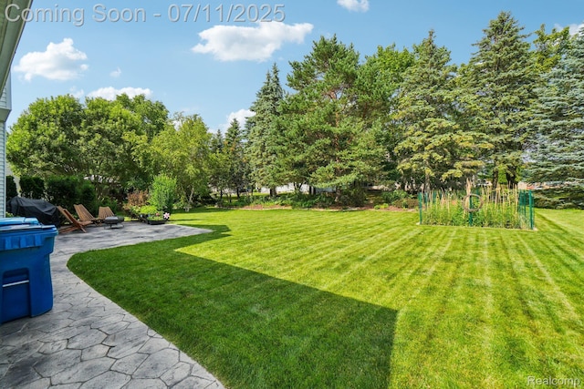 316 Valleyview Dr, Linden, MI 48451 - photo 45