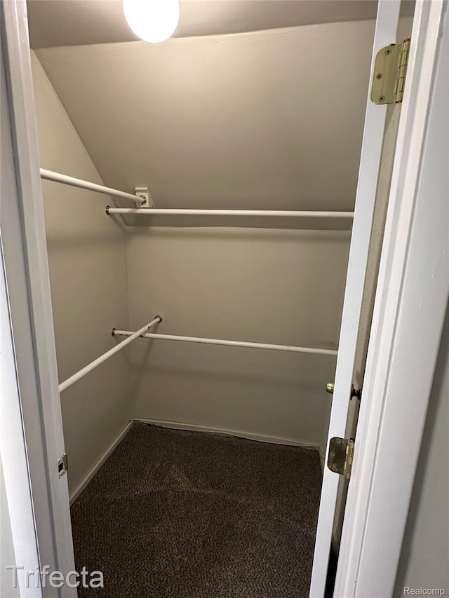 16684 Forest Ave, Harrison Township, MI 48021 - walk in closet featuring carpet and vaulted ceiling