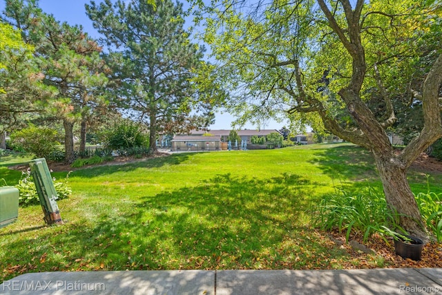 17979 University Park Dr, Livonia, MI 48152 - view of grassy yard