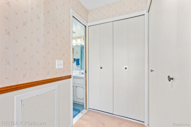 17979 University Park Dr, Livonia, MI 48152 - closet featuring a sink