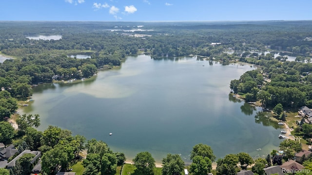 1257 Lake Shore Blvd, Lake Orion, MI 48362 - drone / aerial view of a nearby body of water and a heavily wooded area