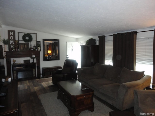 5933 Vernon, Belleville, MI 48111 - living area featuring wood finished floors, a fireplace, lofted ceiling, and plenty of natural light