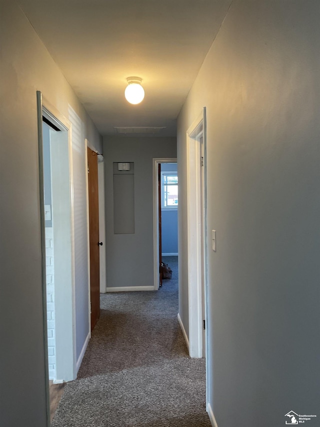 1503 Philomene Blvd, Lincoln Park, MI 48146 - corridor featuring carpet floors and baseboards