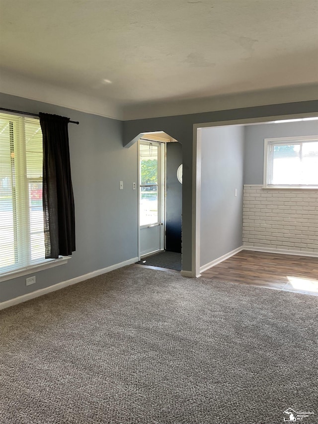 1503 Philomene Blvd, Lincoln Park, MI 48146 - spare room with arched walkways, plenty of natural light, and carpet floors