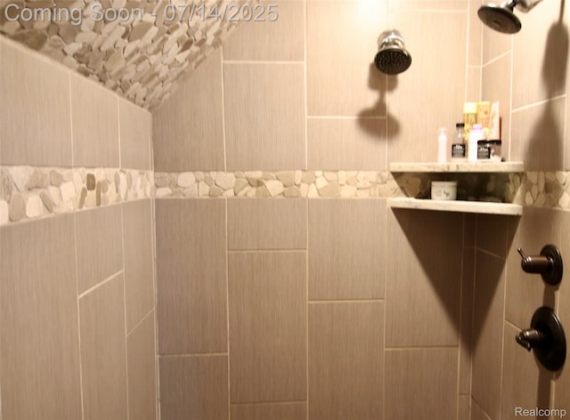 4385 Nelson Scott Dr, Holly, MI 48442 - bathroom with tiled shower and vaulted ceiling