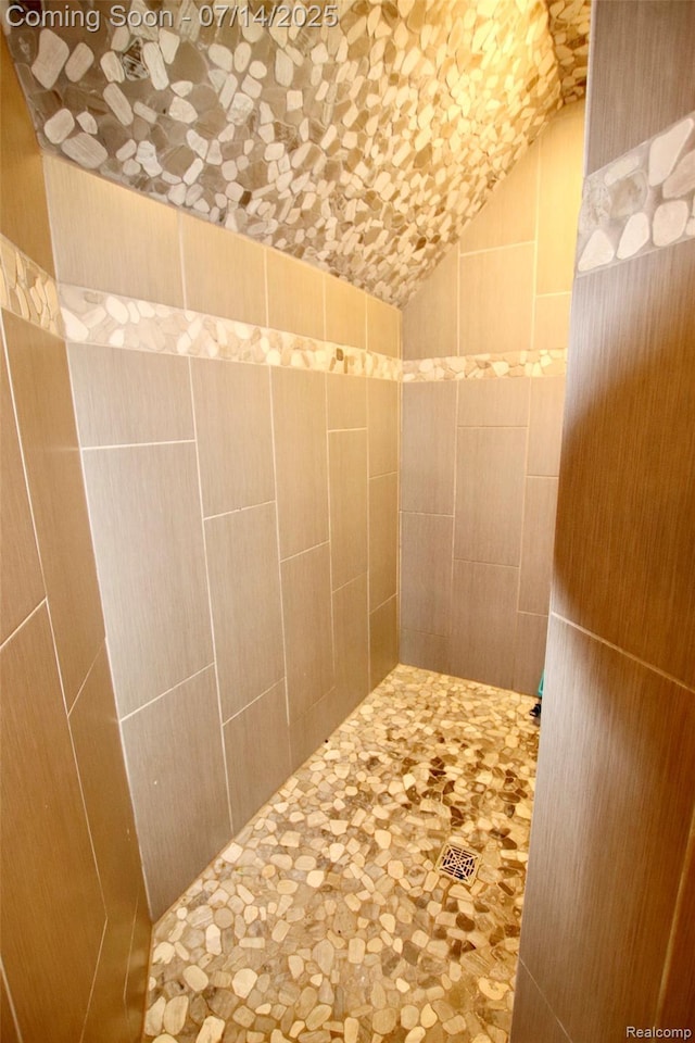 4385 Nelson Scott Dr, Holly, MI 48442 - bathroom featuring lofted ceiling and a tile shower