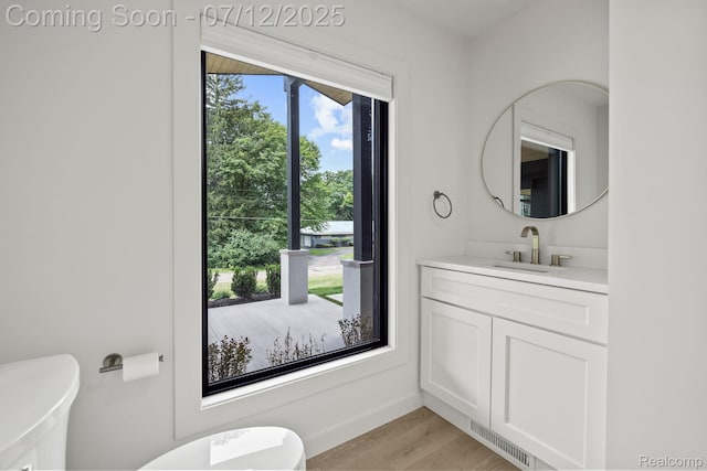 3539 Walbri Dr, Bloomfield Hills, MI 48304 - bathroom with vanity and wood finished floors