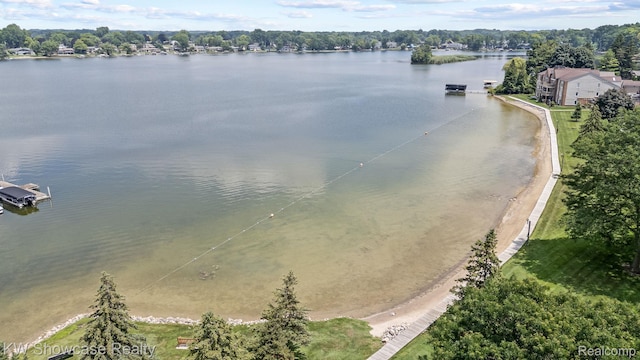 3410 Adams Shore Dr, Waterford, MI 48329 - drone / aerial view of a nearby body of water
