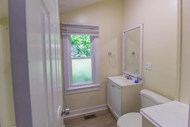 637 Prospect Ave NE, Grand Rapids, MI 49503 - bathroom featuring vanity, wood finished floors, and lofted ceiling