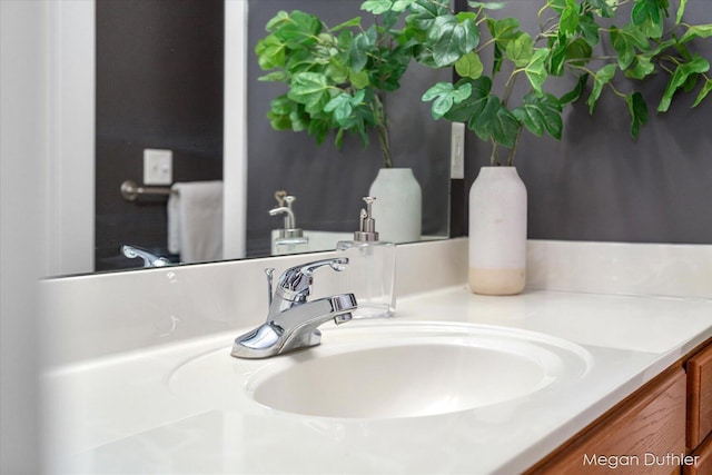 2948 Stoney Creek Ct, Hudsonville, MI 49426 - bathroom view of vanity