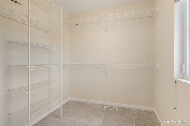 2948 Stoney Creek Ct, Hudsonville, MI 49426 - spacious closet with carpet floors