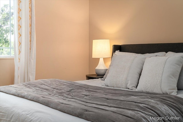 2948 Stoney Creek Ct, Hudsonville, MI 49426 - view of bedroom