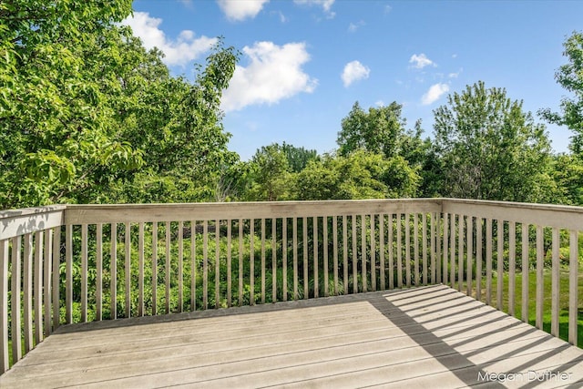 2948 Stoney Creek Ct, Hudsonville, MI 49426 - view of wooden deck