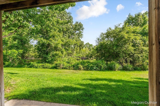 2948 Stoney Creek Ct, Hudsonville, MI 49426 - view of grassy yard