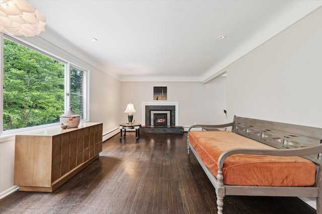 2422 Essex, Ann Arbor, MI 48104 - bedroom featuring dark wood finished floors, a lit fireplace, and baseboard heating