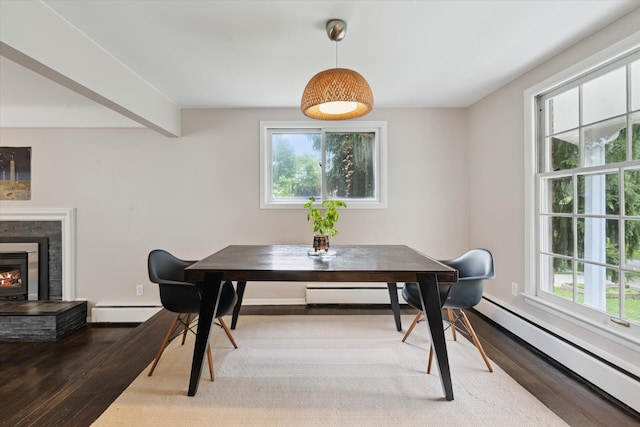 2422 Essex, Ann Arbor, MI 48104 - dining area featuring baseboard heating, wood finished floors, and plenty of natural light