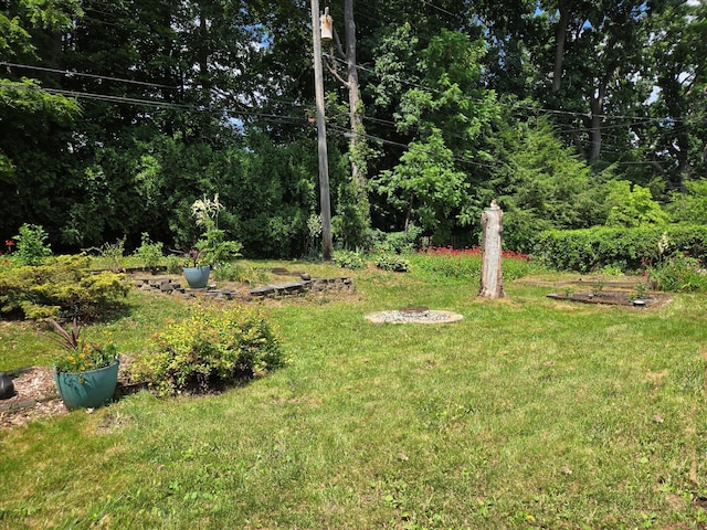 2422 Essex, Ann Arbor, MI 48104 - view of grassy yard
