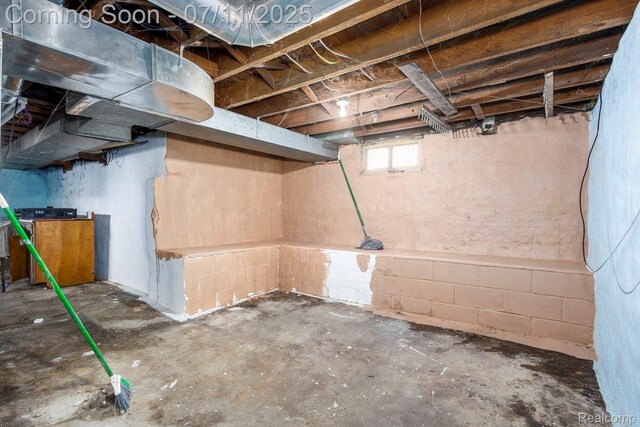 77 Hubbard St, Mount Clemens, MI 48043 - view of below grade area