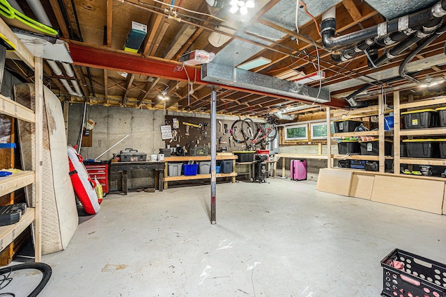 191 S Lake Doster Dr, Plainwell, MI 49080 - unfinished basement with a workshop area