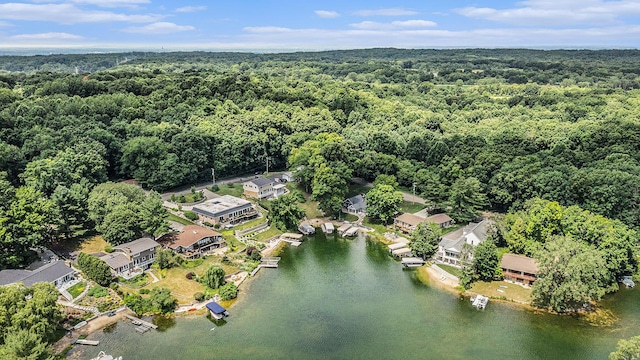 191 S Lake Doster Dr, Plainwell, MI 49080 - aerial view of property and surrounding area with a forest and a large body of water