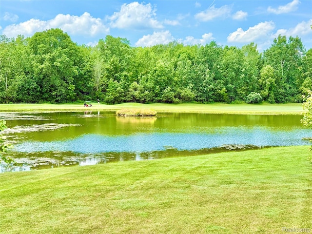 6426 Club Ct W, Grand Blanc, MI 48439 - water view