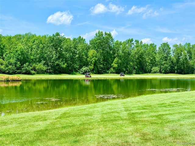 6426 Club Ct W, Grand Blanc, MI 48439 - water view with a forest