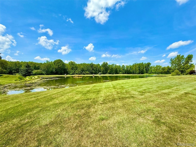 6426 Club Ct W, Grand Blanc, MI 48439 - view of grassy yard featuring a water view