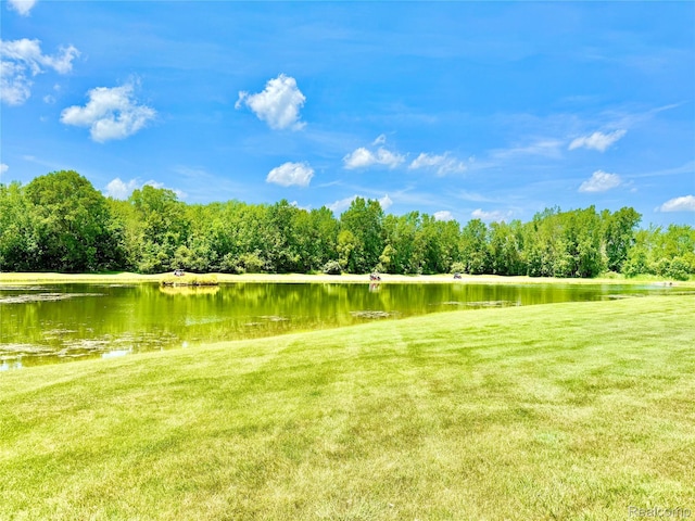 6426 Club Ct W, Grand Blanc, MI 48439 - view of yard with a water view and a wooded view