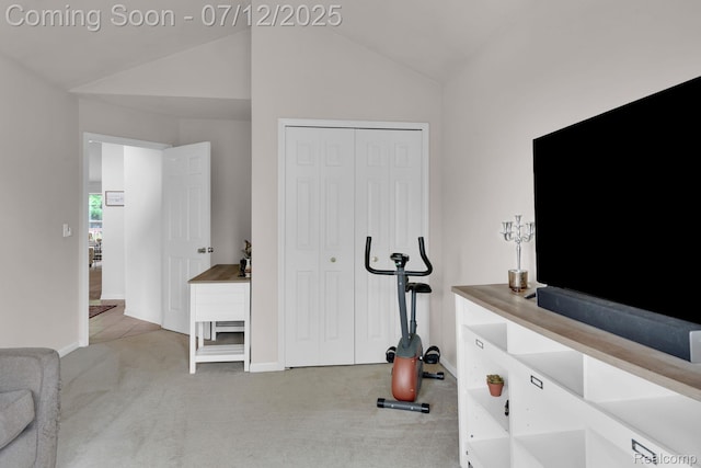 1128 Andover Cir, Commerce Twp, MI 48390 - workout room featuring carpet floors and vaulted ceiling