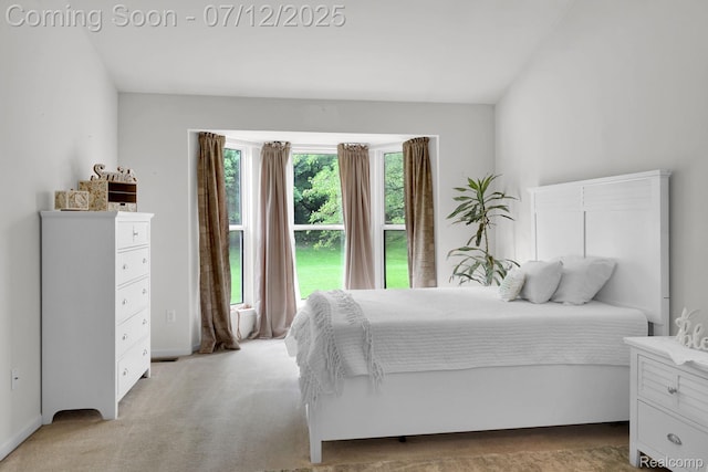 1128 Andover Cir, Commerce Twp, MI 48390 - bedroom with light colored carpet
